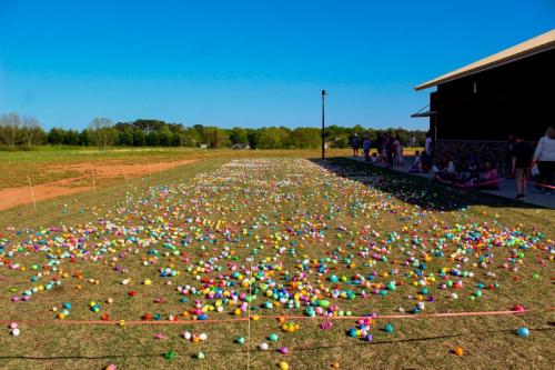 25-egg-hunt-127