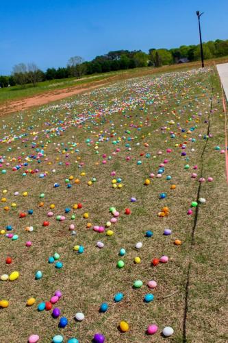 25-egg-hunt-15