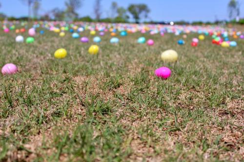 25-egg-hunt-04