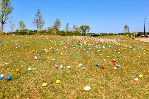 25-egg-hunt-05
