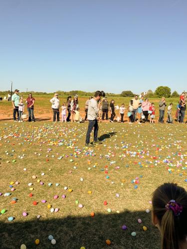 25-egg-huntC-38