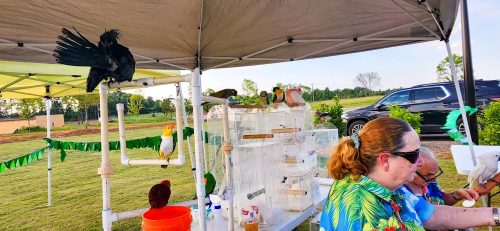 26-VBS-Day5-Gallery-121