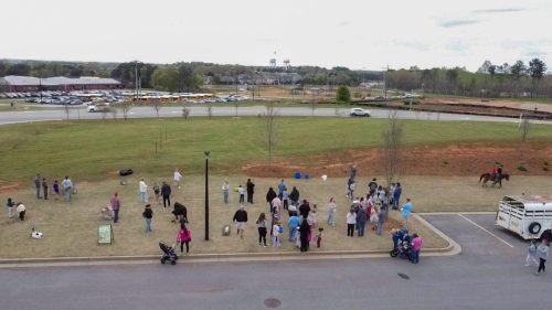 Egg Hunt2 2026-024