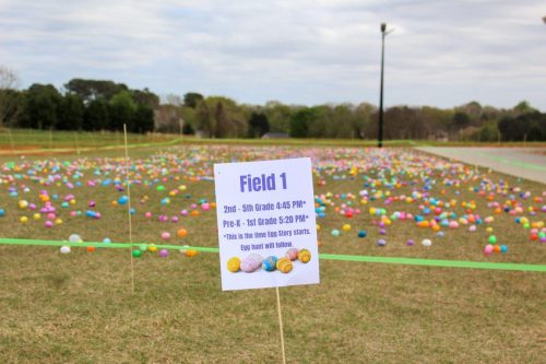Egg Hunt 2026-008