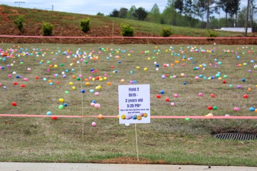 Egg Hunt 2026-009