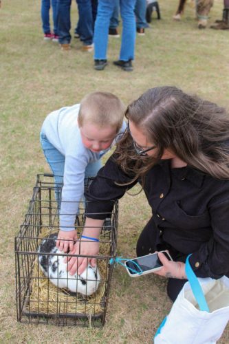 Egg Hunt 2026-022