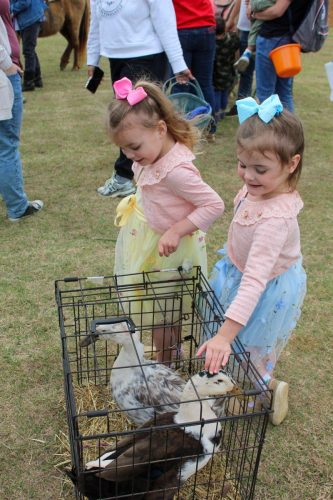 Egg Hunt 2026-023