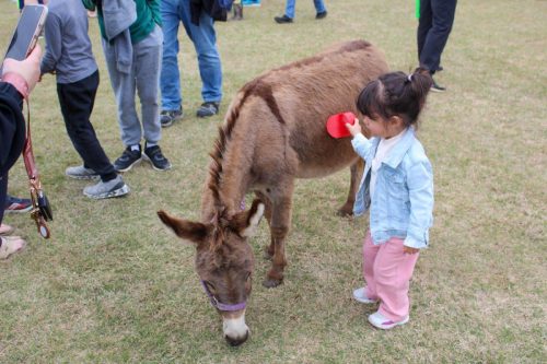 Egg Hunt 2026-028