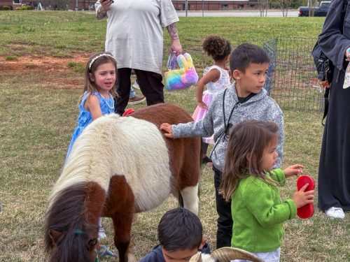 Egg Hunt 2026-031