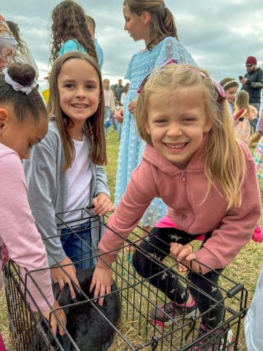 Egg Hunt 2026-033