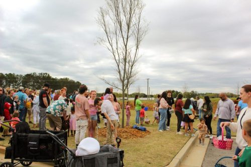 Egg Hunt 2026-067