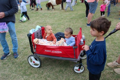 Egg Hunt 2026-075