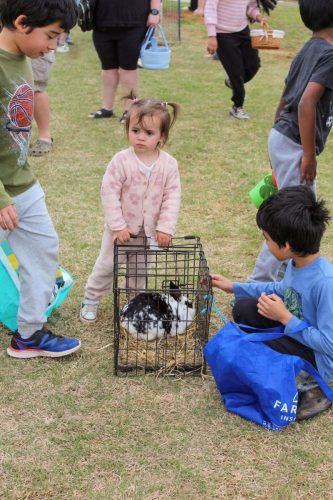 Egg Hunt 2026-076