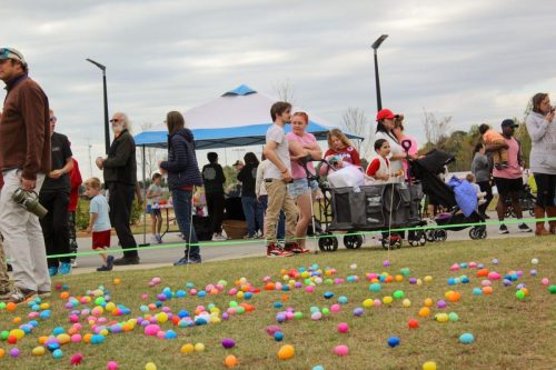 Egg Hunt 2026-115