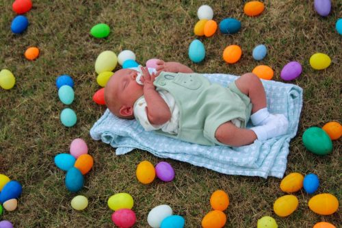 Egg Hunt 2026-121