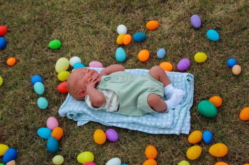 Egg Hunt 2026-122