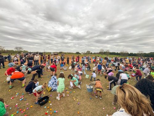 Egg Hunt 2026-123