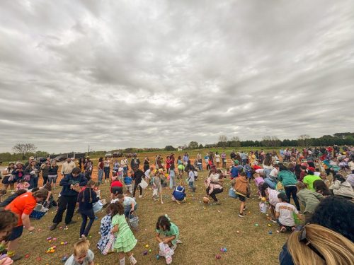 Egg Hunt 2026-124