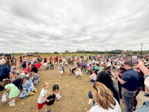 Egg Hunt 2026-125