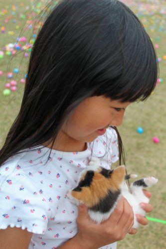 Egg Hunt 2026-128