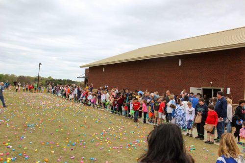 Egg Hunt 2026-130