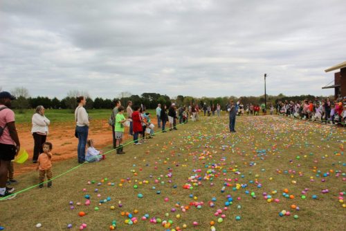 Egg Hunt 2026-131