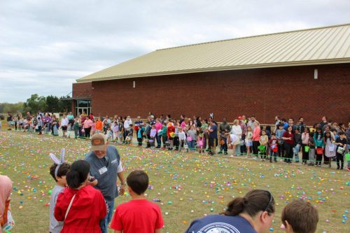 Egg Hunt 2026-132