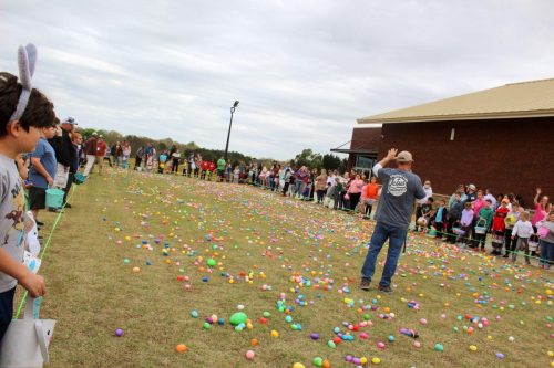 Egg Hunt 2026-134