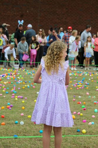 Egg Hunt 2026-137