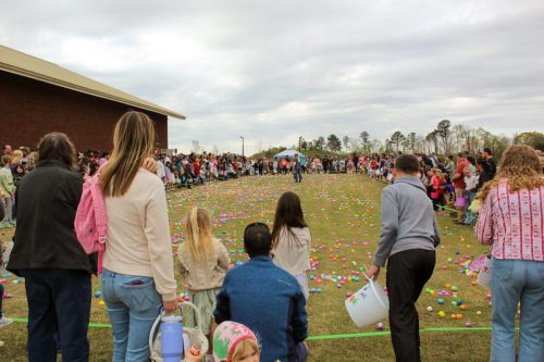 Egg Hunt 2026-138