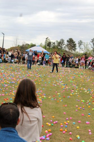 Egg Hunt 2026-139