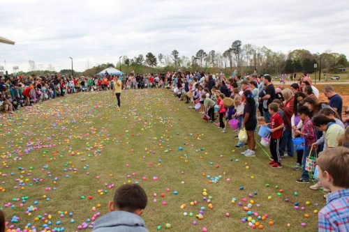 Egg Hunt 2026-142