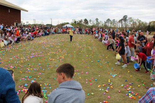 Egg Hunt 2026-143
