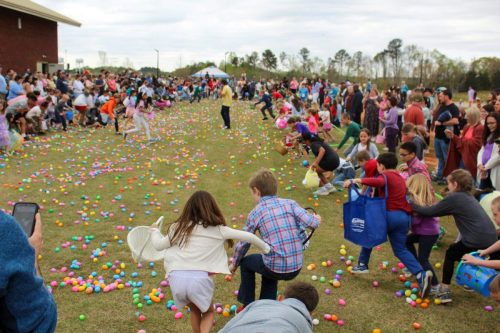 Egg Hunt 2026-144