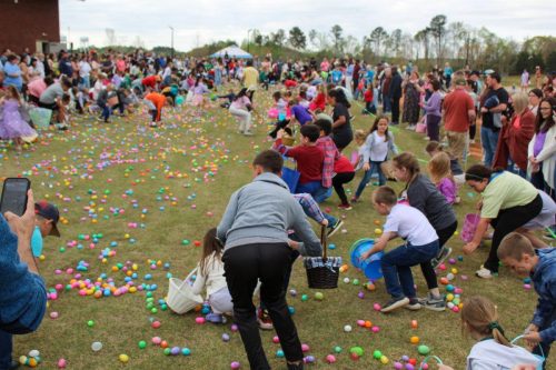 Egg Hunt 2026-145