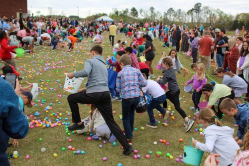Egg Hunt 2026-146