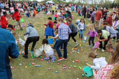 Egg Hunt 2026-147
