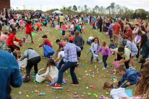 Egg Hunt 2026-148