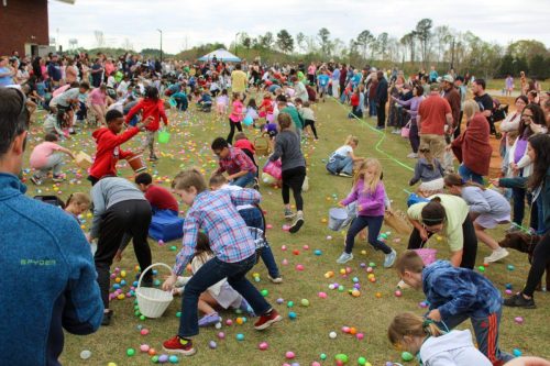 Egg Hunt 2026-149