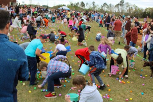 Egg Hunt 2026-150