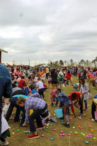 Egg Hunt 2026-151