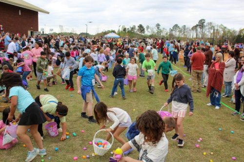 Egg Hunt 2026-153