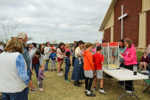 Egg Hunt 2026-162