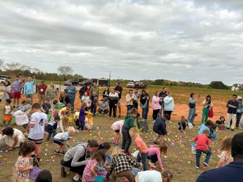 Egg Hunt 2026-173