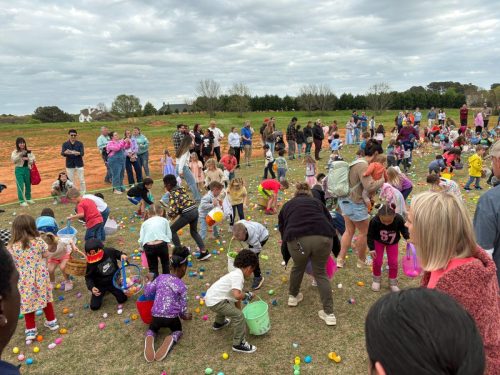 Egg Hunt 2026-174