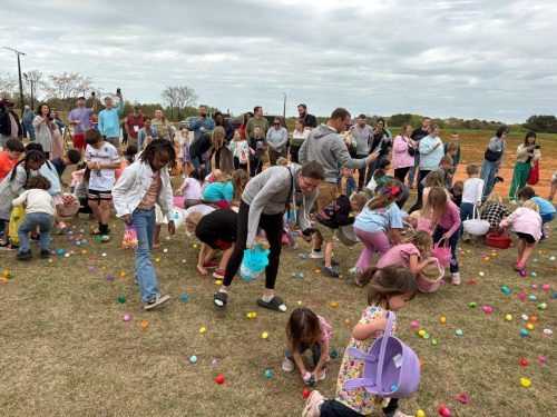 Egg Hunt 2026-175