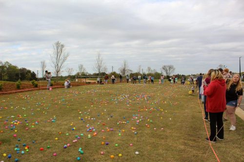 Egg Hunt 2026-177