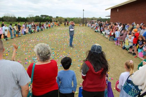 Egg Hunt 2026-180