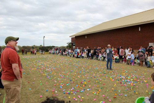 Egg Hunt 2026-181