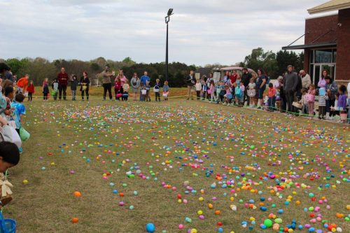 Egg Hunt 2026-183